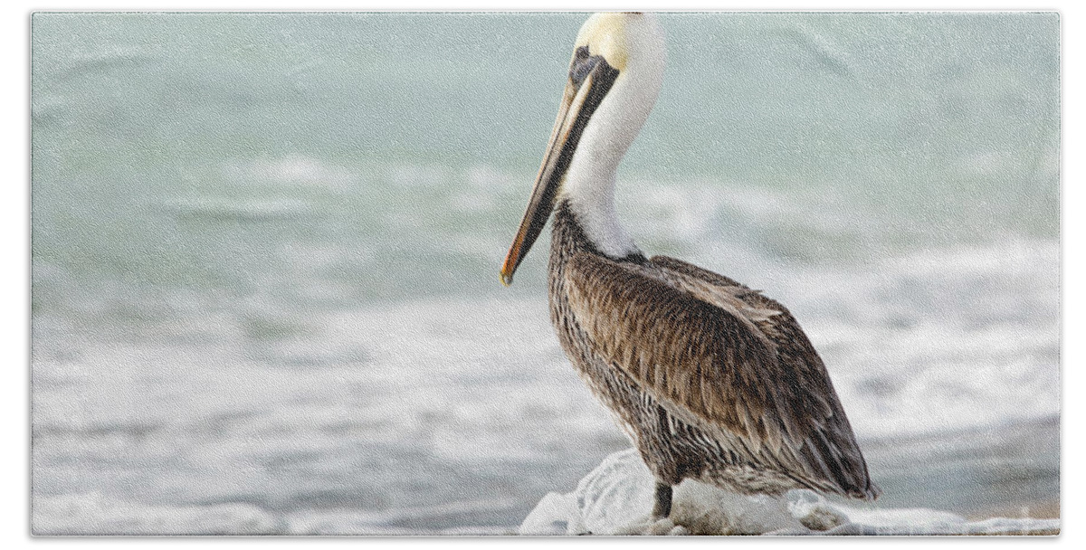 Florida Hand Towel featuring the photograph Pelican Waves by Karin Pinkham