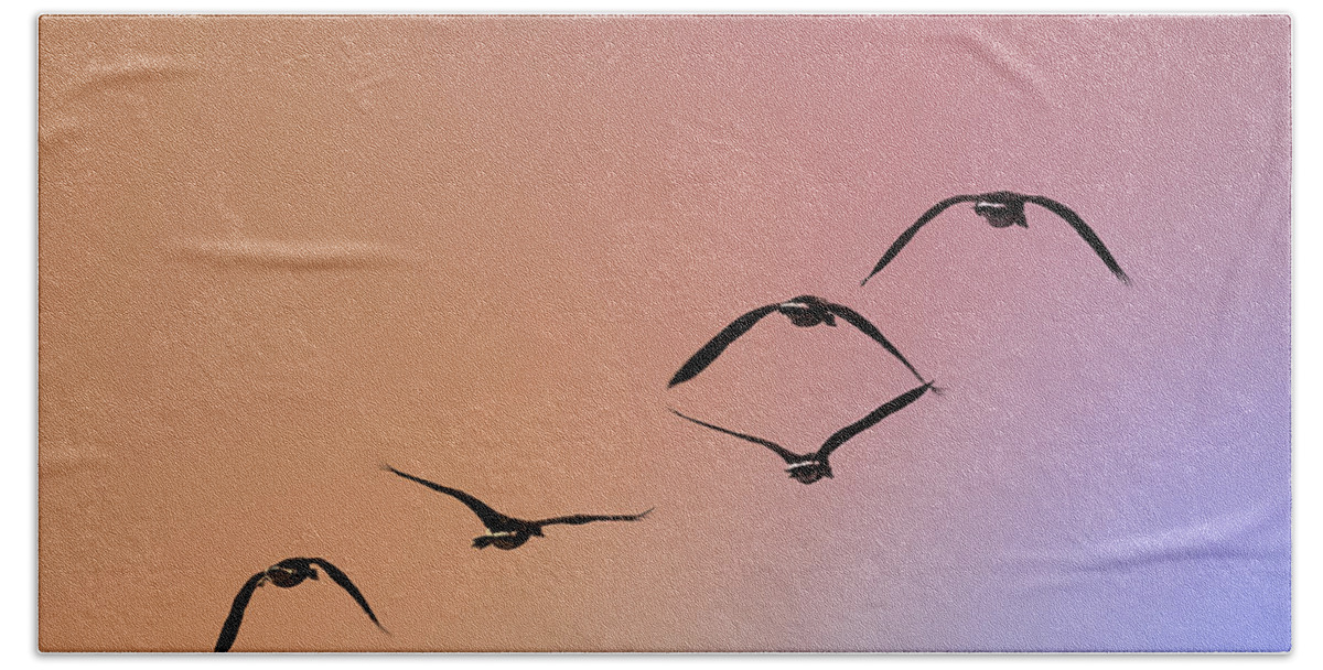 Birds Bath Towel featuring the photograph Pelicans by Alexander Fedin