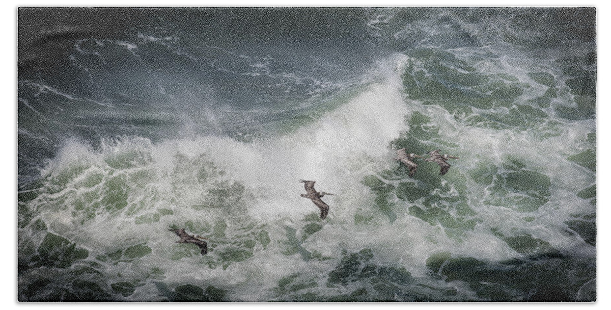 Birds Hand Towel featuring the photograph Pelicans and Surf by Robert Potts