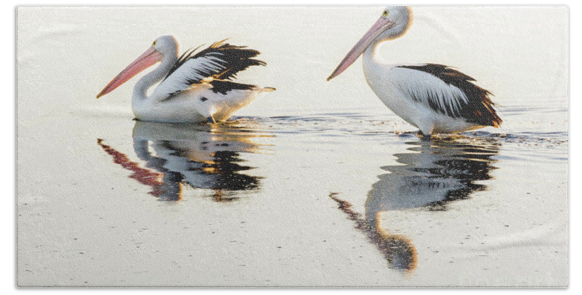 Bird Bath Towel featuring the photograph Pelicans at Dusk by Werner Padarin
