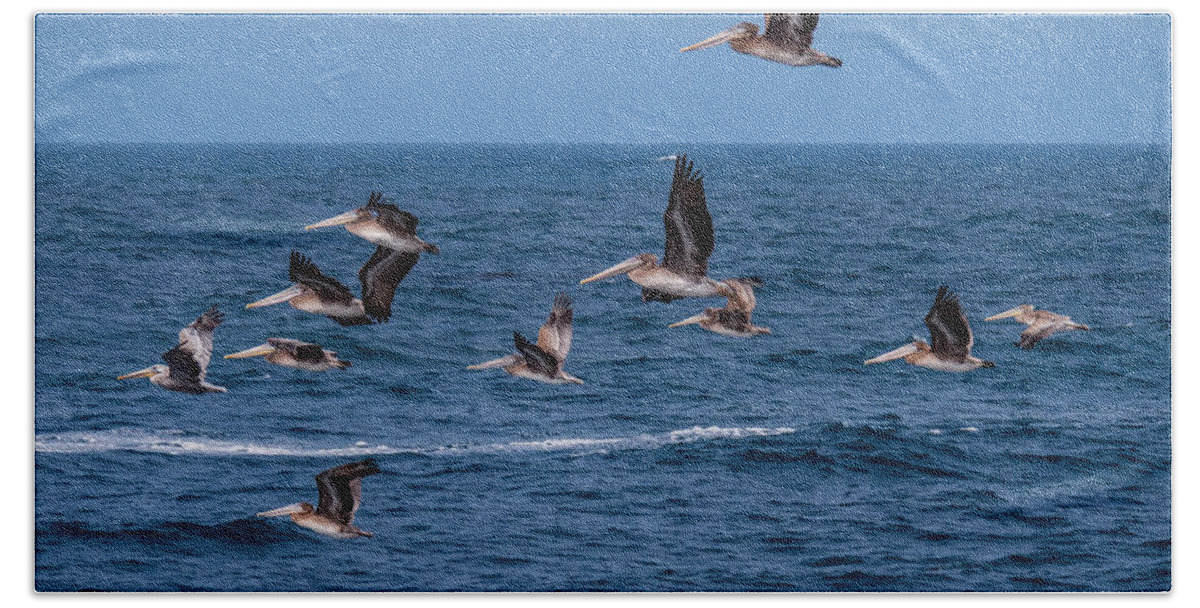 Pelicans Bath Towel featuring the photograph Pelicans Fly Over the Water by Derek Dean