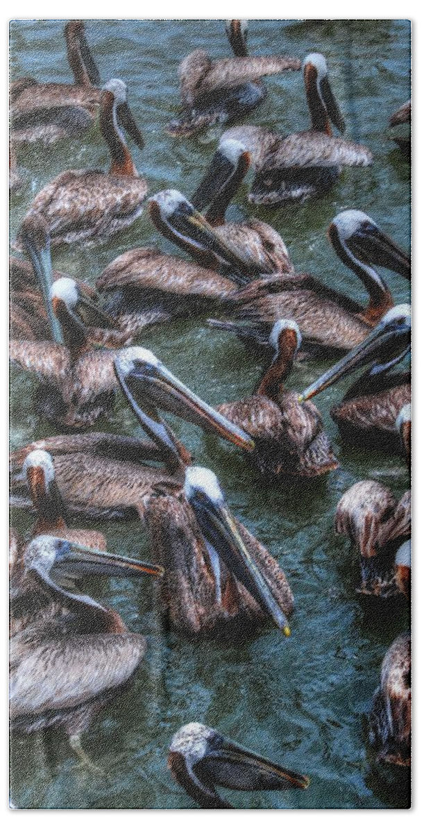 Carol R Montoya Bath Towel featuring the photograph Pelicans Wait For Left Overs by Carol Montoya