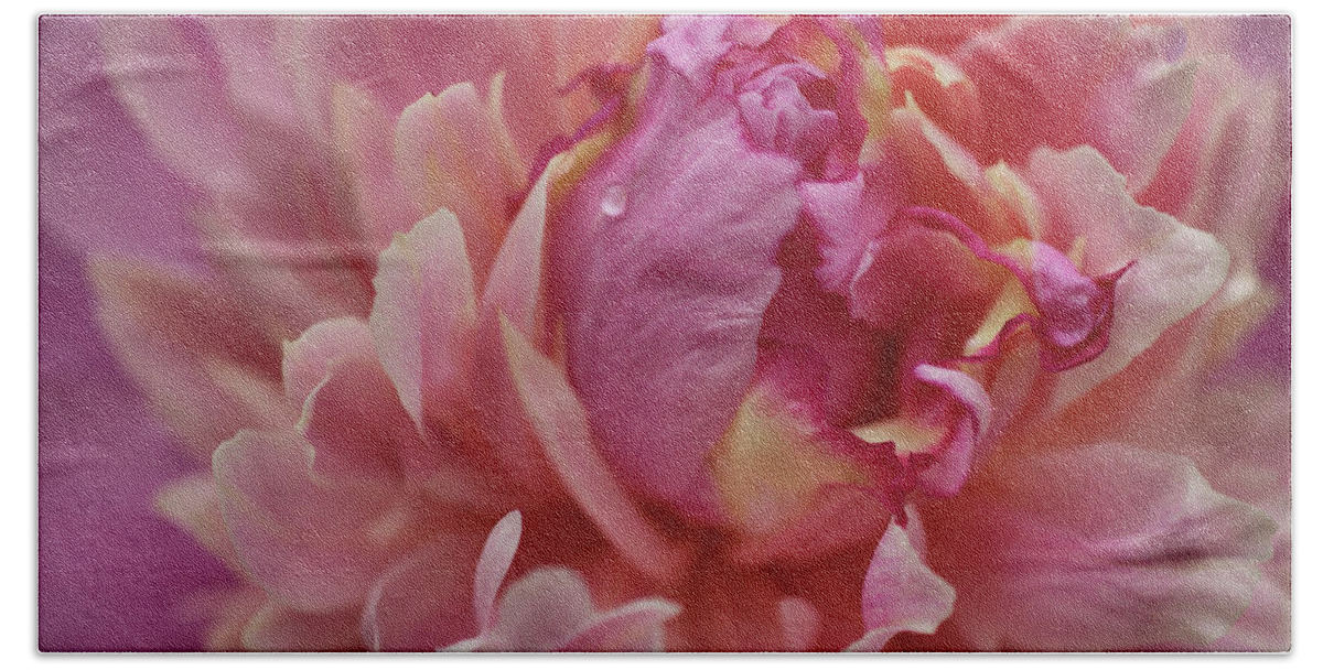 Pink Peony Bath Towel featuring the photograph Peony Opening by Sandy Keeton