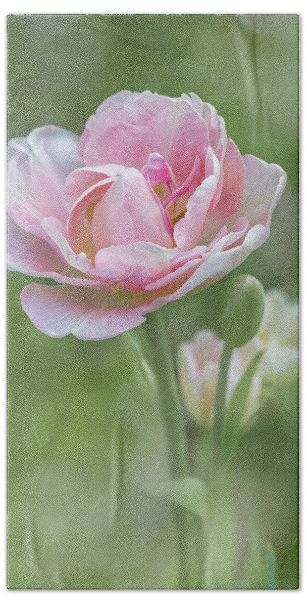 Flower Bath Towel featuring the photograph Peony Tulip - Vertical Texture by Patti Deters