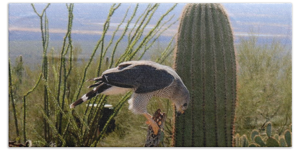 Peregrine Falcon Bath Towel featuring the photograph Peregrine Falcon - 2 by Christy Pooschke