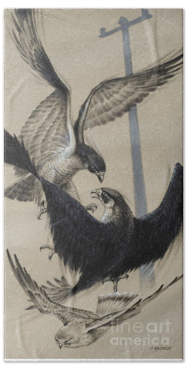 Hawk Hand Towel featuring the painting Peregrine Falcon and Kestrel by David Nockels