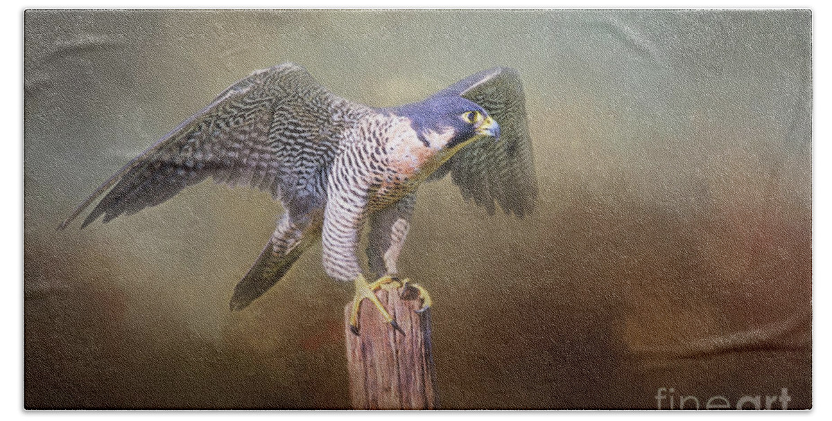Falcon Bath Towel featuring the digital art Peregrine Falcon Taking Flight by Sharon McConnell
