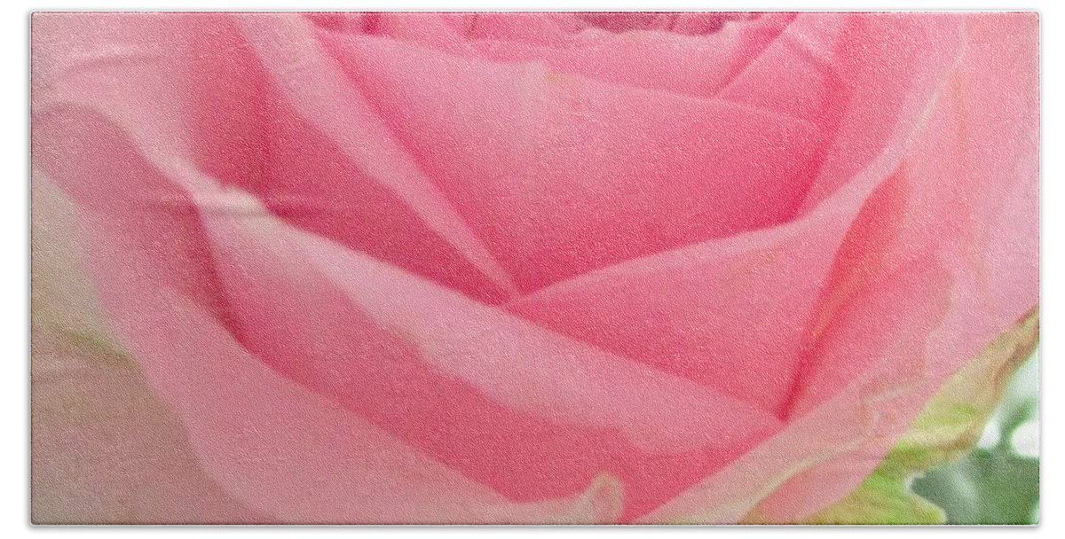 Pink Rose Bath Towel featuring the photograph Perfect Pink Rose by Sharon Ackley