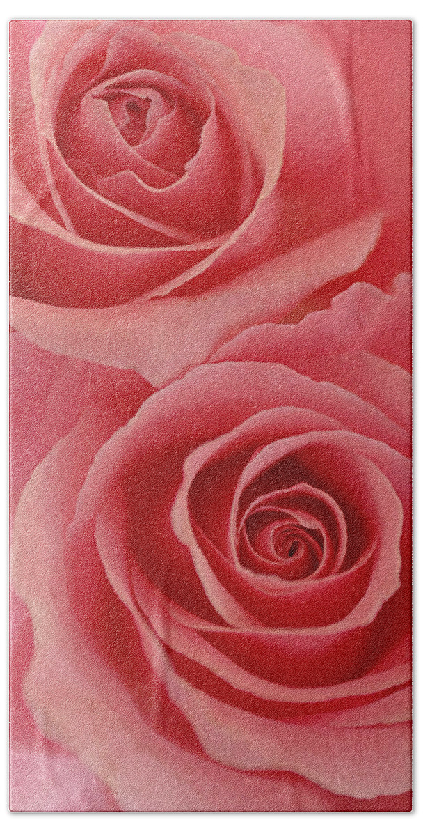 Rose Bath Towel featuring the photograph Perfect Pink Roses by Jill Reger