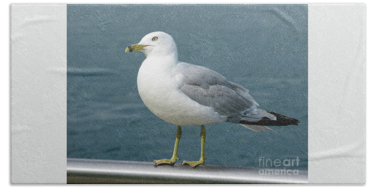 Seagull Bath Sheet featuring the photograph Perfect Pose by Ann Horn