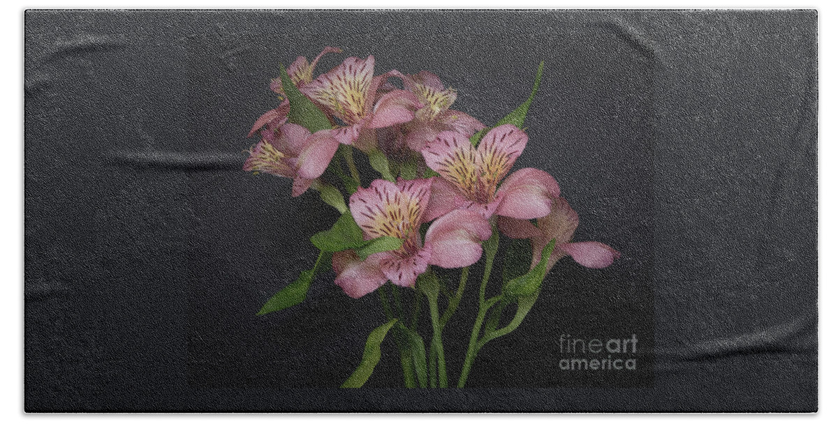 Flowers Hand Towel featuring the photograph Peruvian Lily by Ann Horn