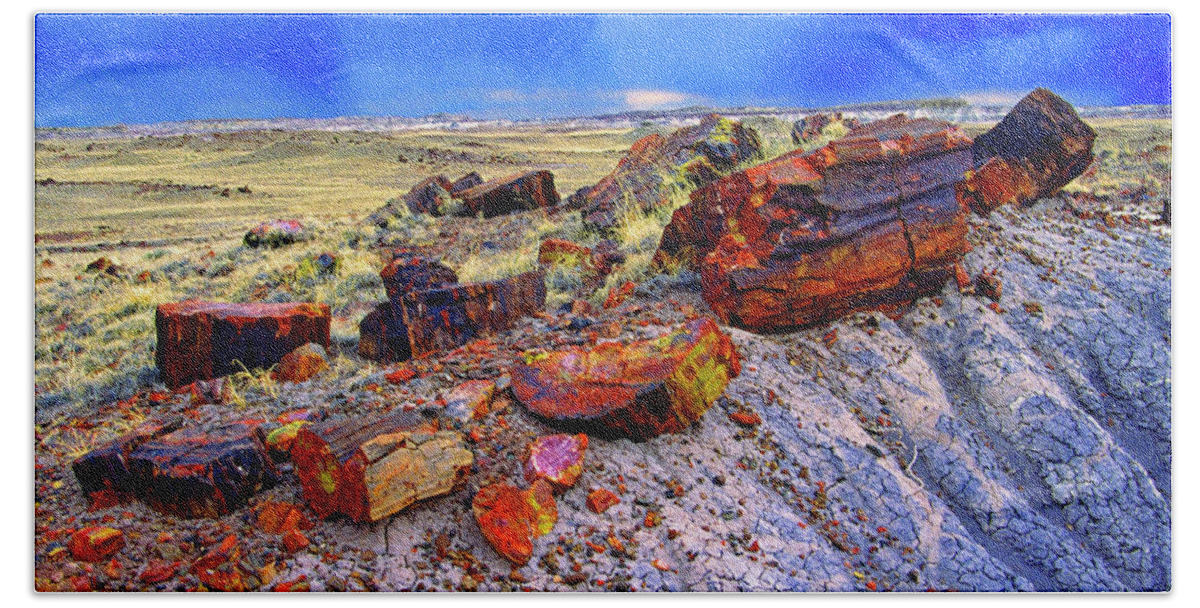 Usa Bath Towel featuring the photograph Petrified Forest National Park by Gary Corbett