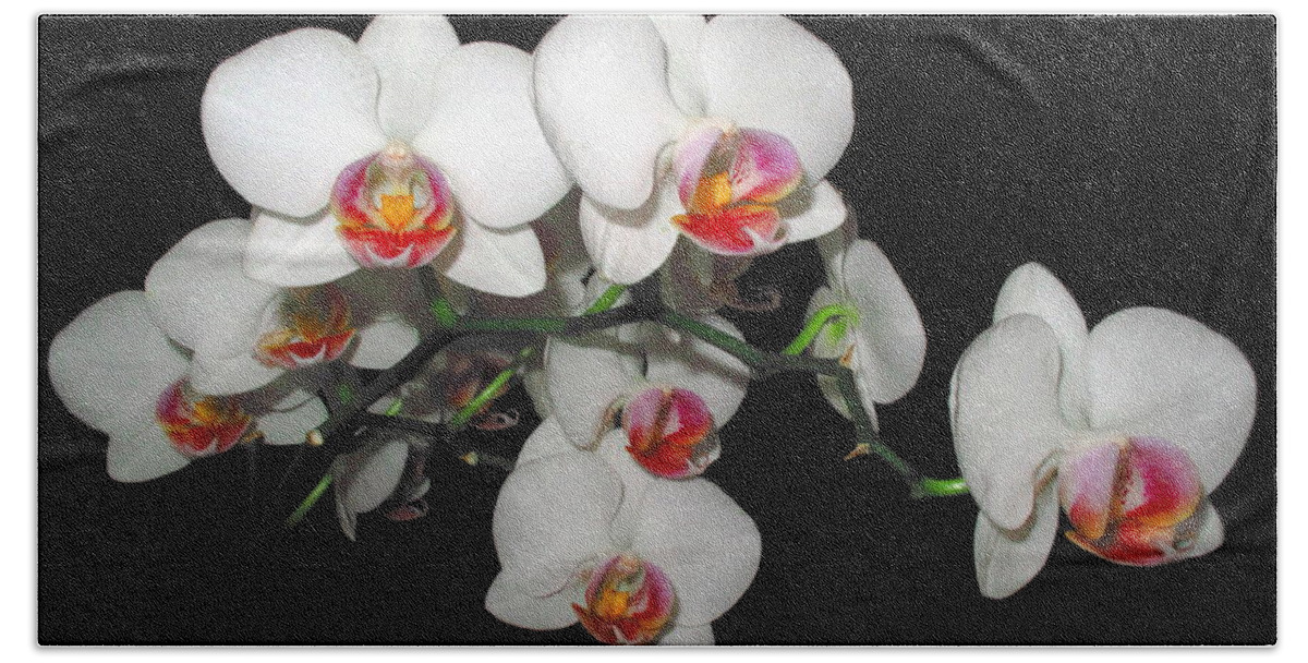 Phalaenopsis Orchids Bath Towel featuring the photograph Phalaenopsis Orchids by Joyce Dickens