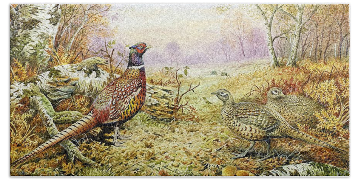 Fungus; Game Bird; Bracken; Rabbits; Pheasant; Pheasants; Tree; Trees; Grass; Leafs; Animals Bath Towel featuring the painting Pheasants in Woodland by Carl Donner