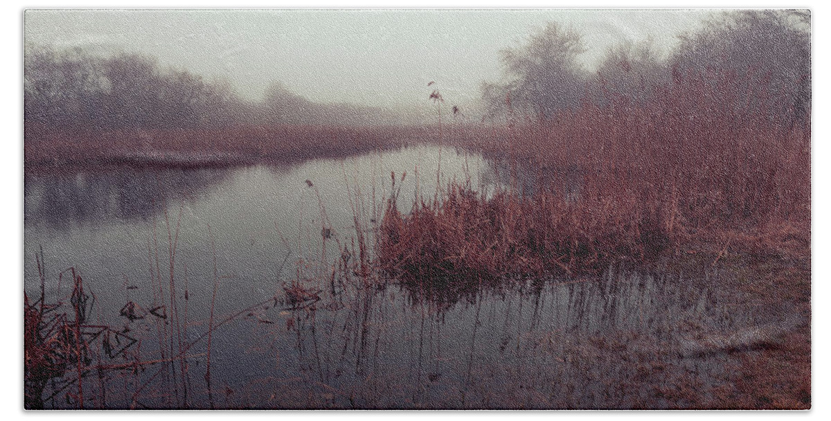Andrew Pacheco Bath Towel featuring the photograph Phragmites and Fog by Andrew Pacheco