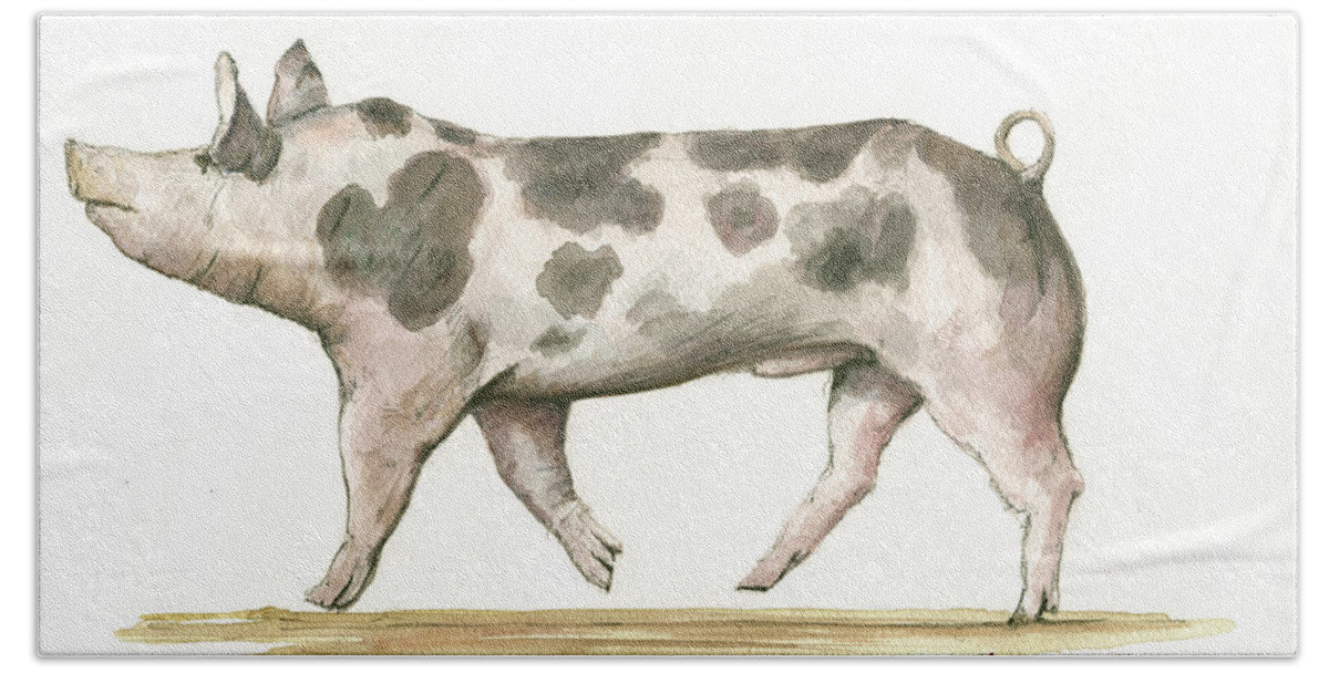 Hampshire Pig Hand Towel featuring the painting Pietrain pig by Juan Bosco