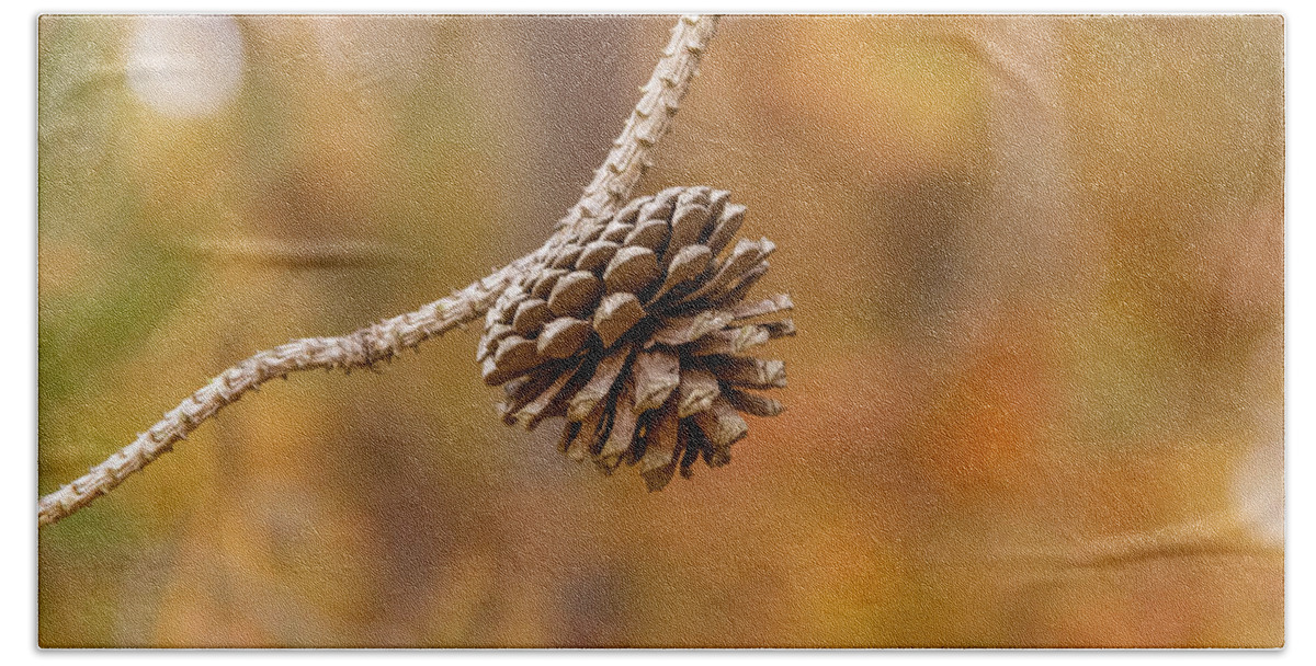 Conifer Cone Bath Towel featuring the photograph Pine cone by SAURAVphoto Online Store