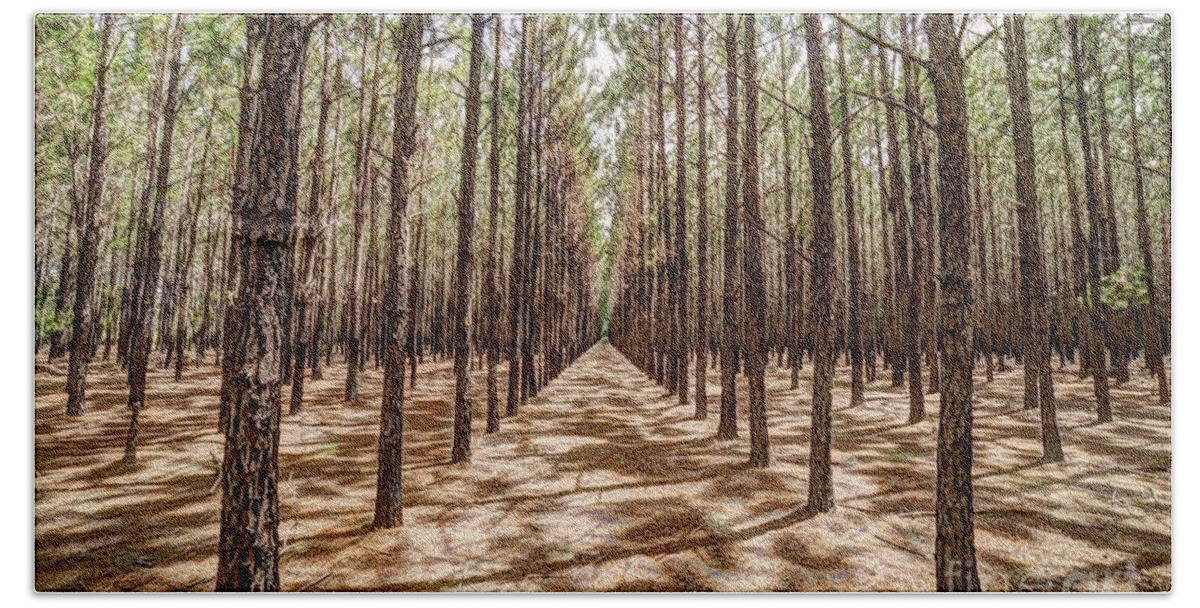 Pine Bath Towel featuring the photograph Pine Plantation Wide Color by Gulf Coast Aerials -