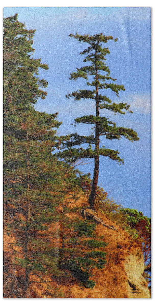 Pine Tree Along The Oregon Coast Bath Towel featuring the digital art Pine Tree Along The Oregon Coast by Tom Janca