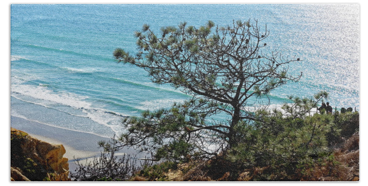 Pine Tree Hand Towel featuring the photograph Pine tree on coast by Peter Ponzio