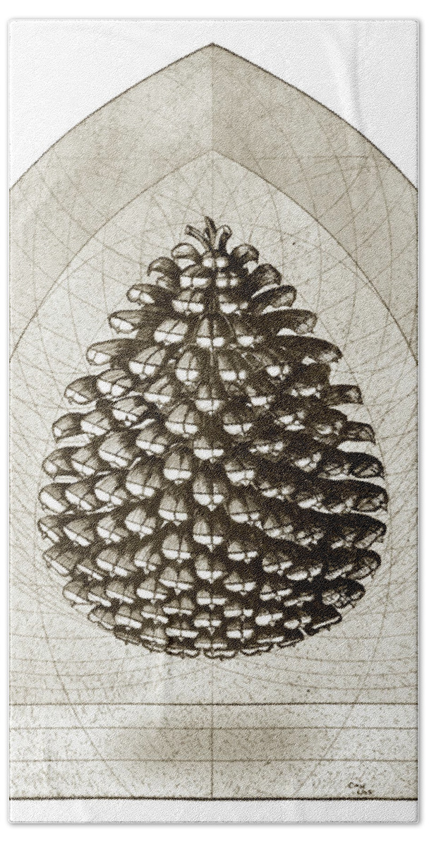 Charles Harden Hand Towel featuring the drawing Pine Cone by Charles Harden