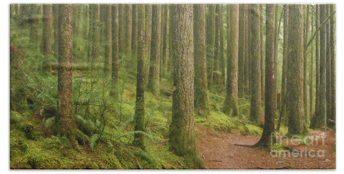 Rain Forest Bath Towel featuring the digital art Pines Ferns And Moss by Phil Perkins