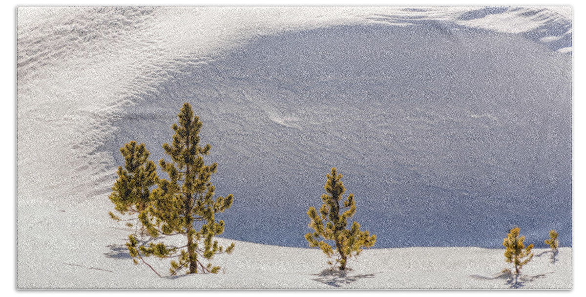 Snow Bath Towel featuring the photograph Pines in the Snow Drifts by Stephen Johnson