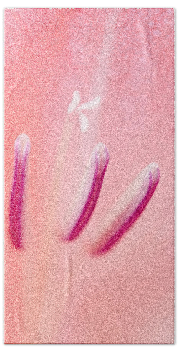 Astoria Bath Towel featuring the photograph Pink and Close by Robert Potts