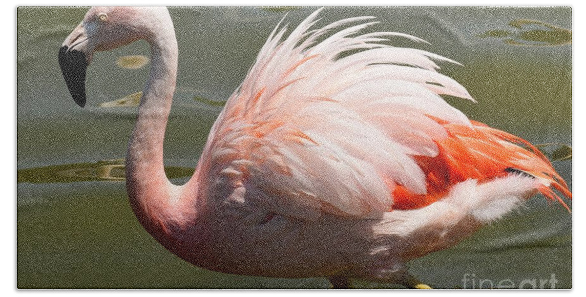 Flamingo Bath Towel featuring the photograph Pink and Proud by Jennifer Craft