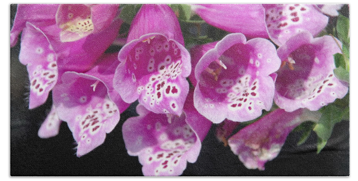 Pink Flowers Hand Towel featuring the photograph Pink Bells by Ee Photography