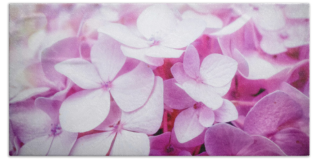 Pink Bloom Bath Towel featuring the photograph Pink bloom of Hydrangea by Lilia S