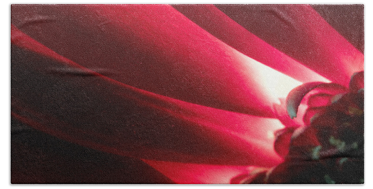 Pink Chrysanthemum Bath Towel featuring the photograph Pink Chrysanthemum Flower Petals in Macro Canvas Close-up by John Williams