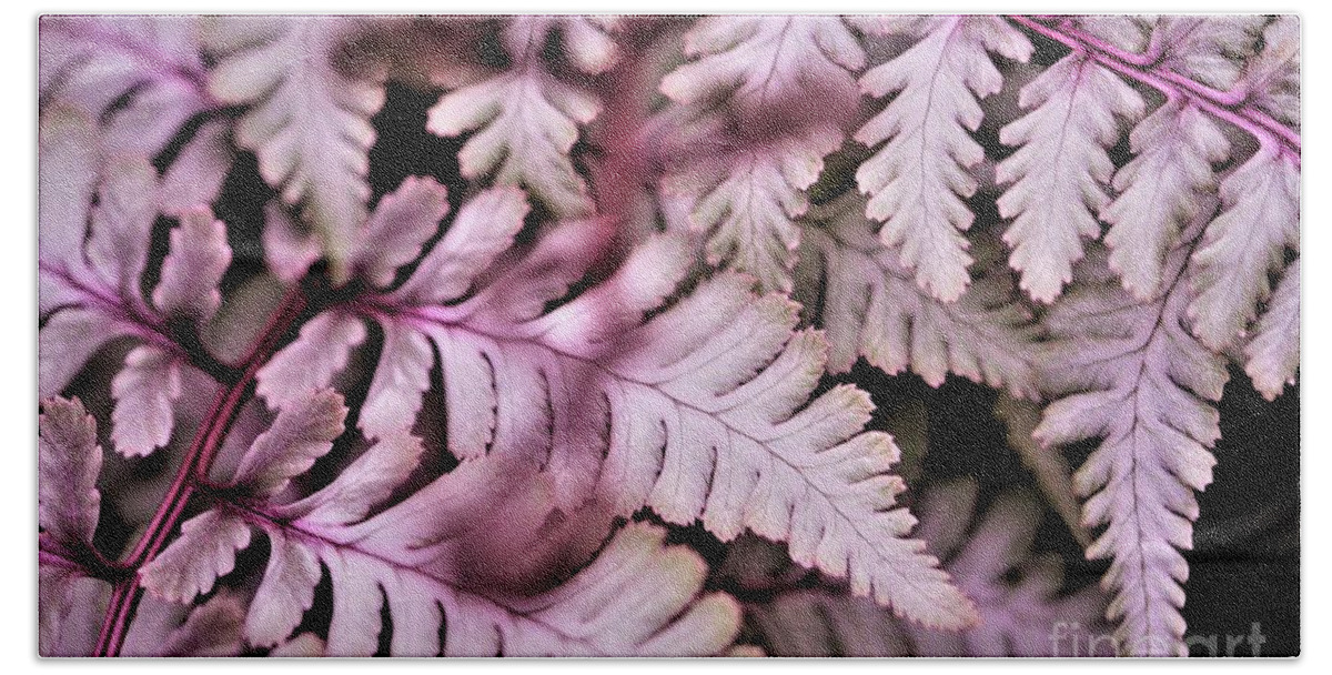 Pink Bath Towel featuring the photograph Pink Fern by Tracey Lee Cassin