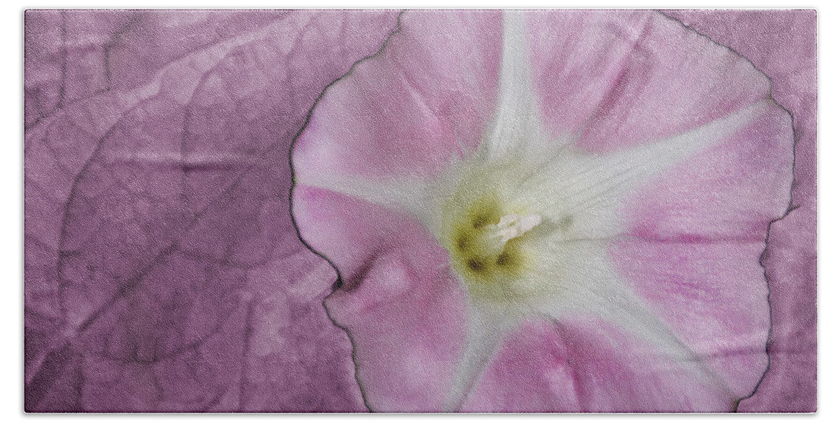 Flower Hand Towel featuring the photograph Pink Flower by David Yocum