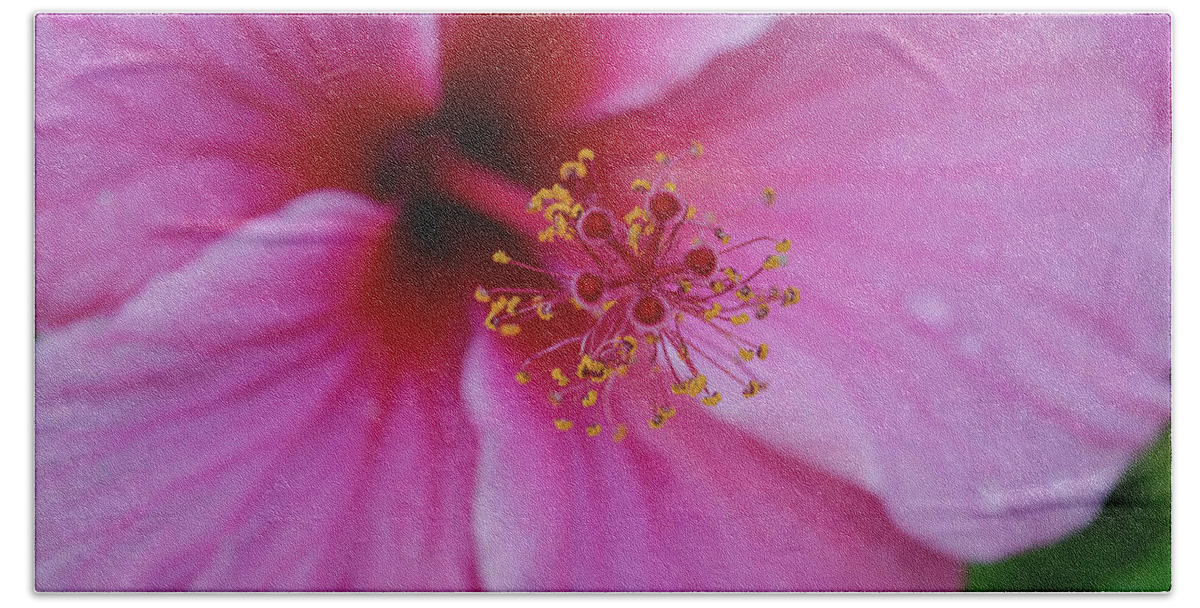 Pink Flower Bath Towel featuring the photograph Pink Flower II by William Kimble