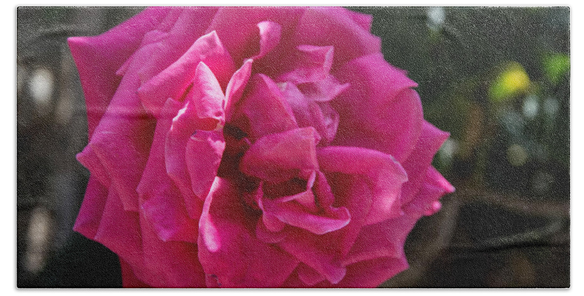 Pink Decor Bath Sheet featuring the photograph Pink Flower, Vic, Spain by Nicole Freedman