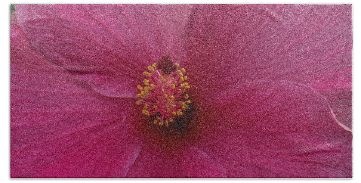Hawaii Bath Towel featuring the photograph Pink Hibiscus by Christy Garavetto