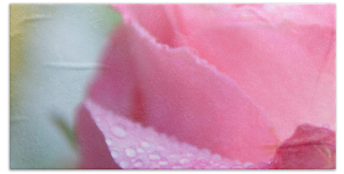 Pink Rose Bath Towel featuring the photograph Pink Kiss Out Of The Blue by Olga Hamilton