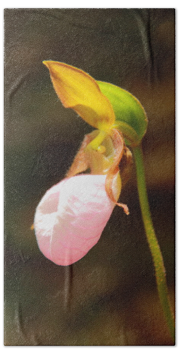 Pink Lady Slipper Bath Towel featuring the photograph Pink Lady Slipper by Roupen Baker