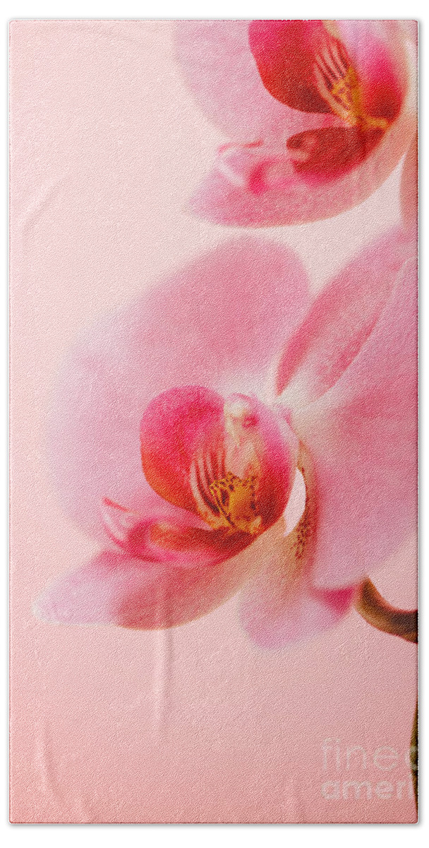 Orchid Bath Towel featuring the photograph Pink Orchid Closeup by Jelena Jovanovic