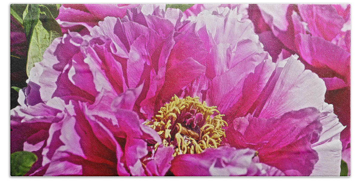 Close Up Photograph Of Pink Peony Flower Bath Towel featuring the photograph Pink Peony by Joan Reese