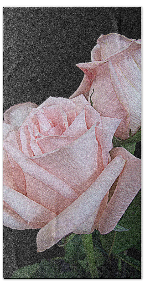Rose Hand Towel featuring the photograph Pink Persuasion by Suzy Piatt