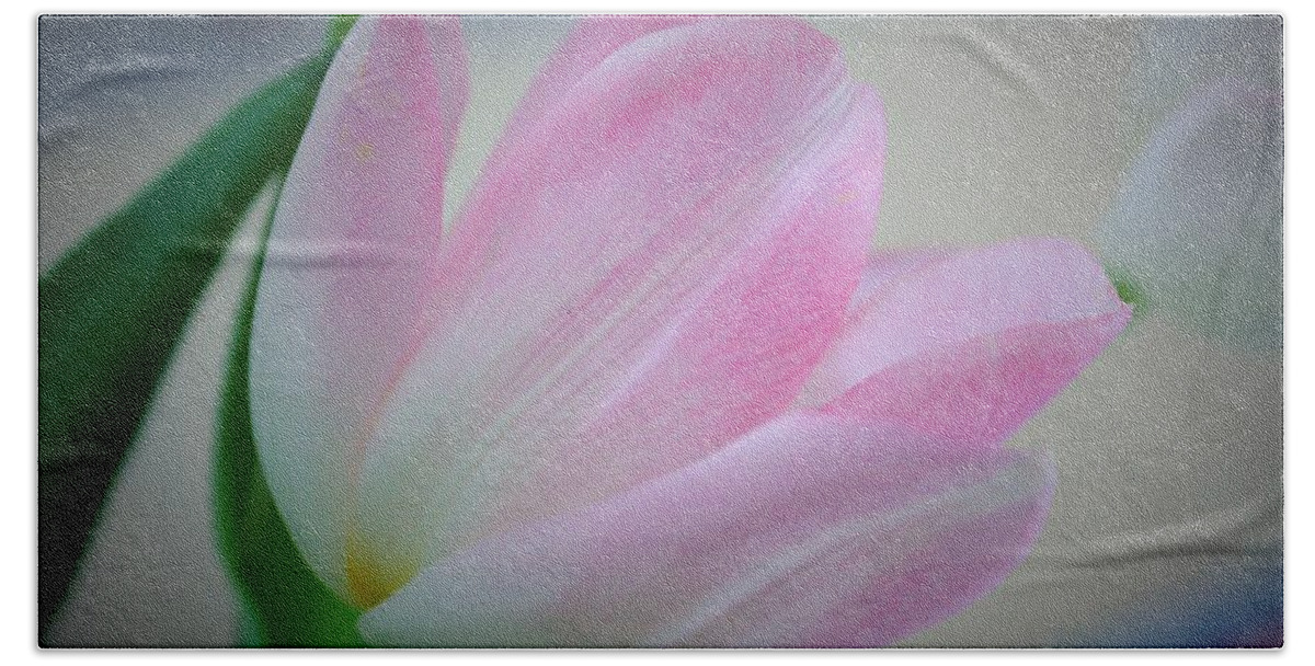 Tulips Bath Towel featuring the photograph Pink Poetry by Marcia Breznay