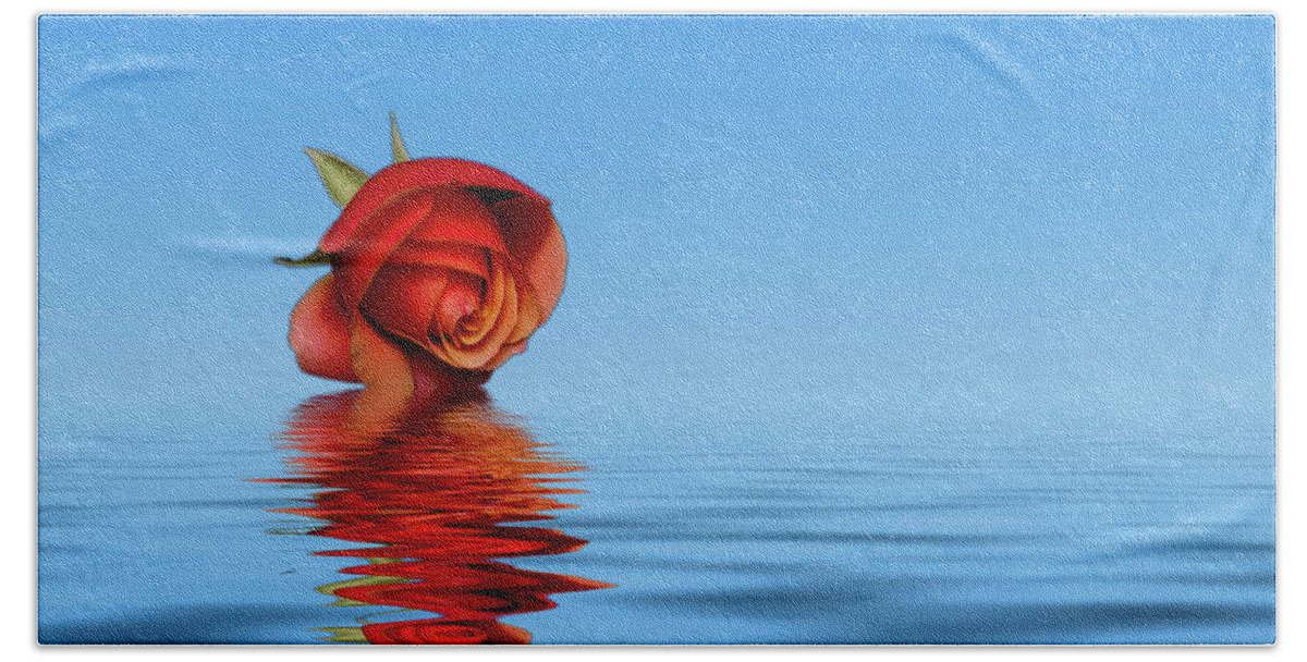 Rose Bath Towel featuring the photograph Pink Rose hazey blue by David French