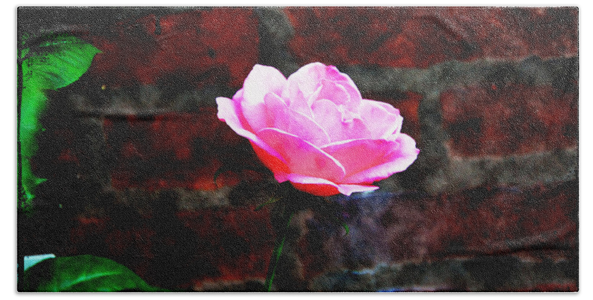 Rose Bath Sheet featuring the photograph Pink Rose on Red Brick Wall by Bill Cannon
