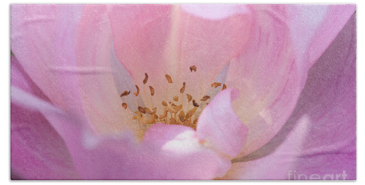 Flower Bath Towel featuring the photograph Pink Swirls by Todd Blanchard