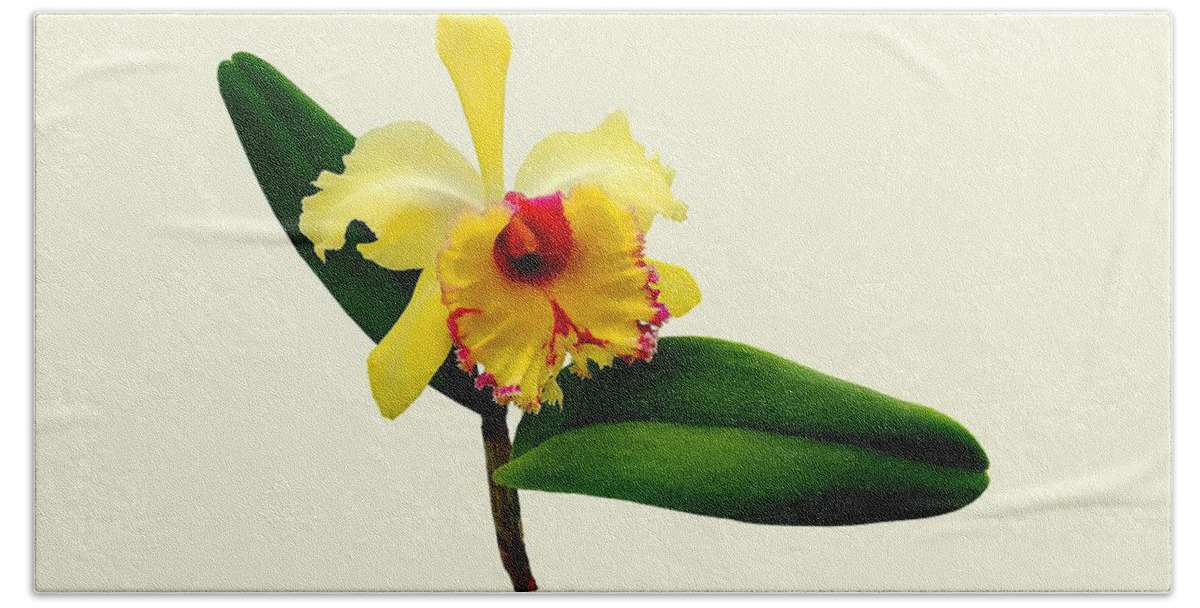 Orchid Bath Towel featuring the photograph Pink Tipped Yellow Orchid by Susan Savad