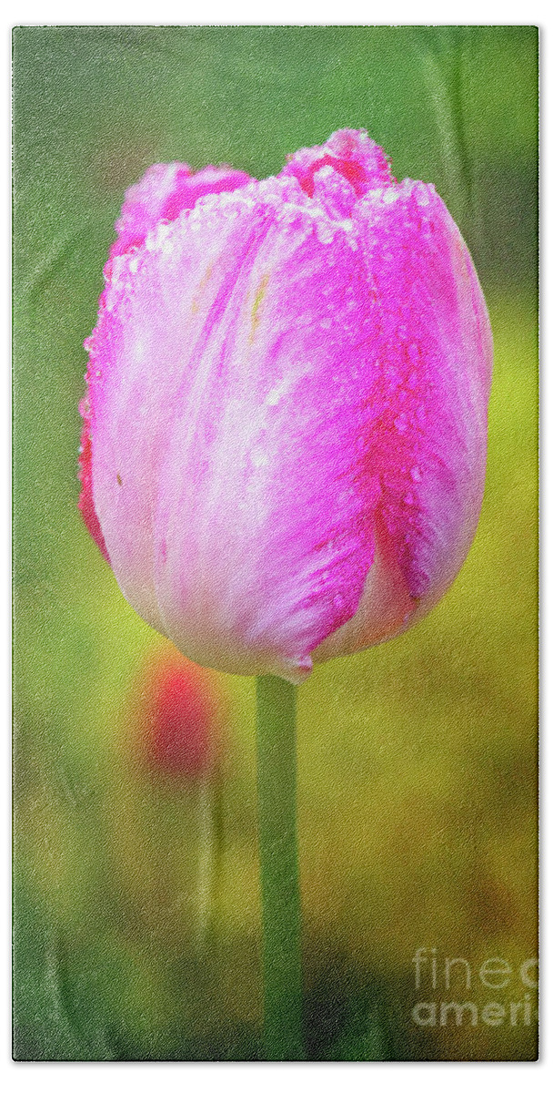 Pink Tulip Hand Towel featuring the photograph Pink Tulip in the Rain by Anita Pollak