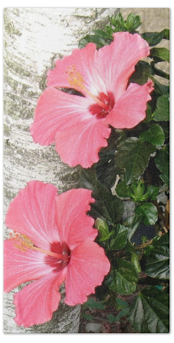 Flowers Bath Towel featuring the photograph Pink Twins by Ed Smith