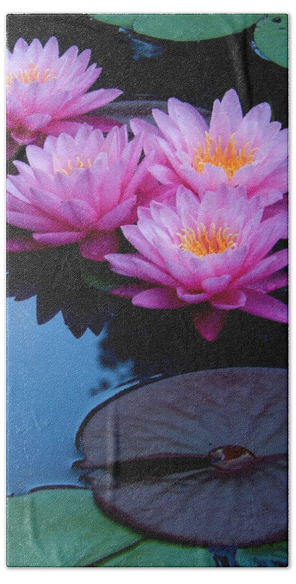 Nature Bath Towel featuring the photograph Pink Waterlilies by Sharon Williams Eng